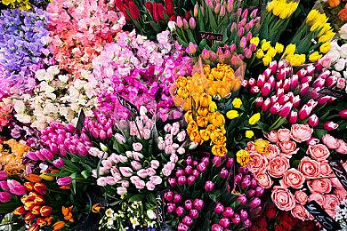 夏日游戏节：《指环王：重返莫瑞亚》剧情介绍预告 秋季发售