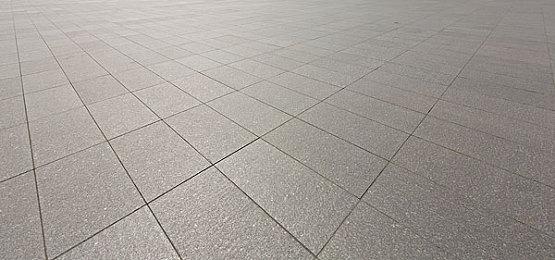 《梦幻之星 Online 2：新起源》宣布与《黑礁》联动