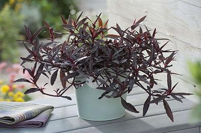 本周Fami通游戏评分出炉 《狙击精英5》获32分