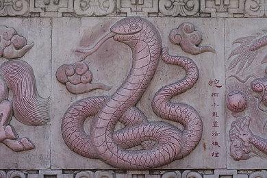 生存游戏《翼星求生》外星 DLC “未知区域”和开放世界模式现已发布