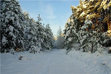  国产动画电影《深海》“粒子水墨”特辑 年内上映